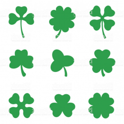 Set Of Three And Four Leaf Clovers Vector Icon St Patricks Day ...