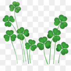 St Patricks Day PNG and St Patricks Day Transparent Clipart Free ...