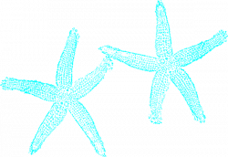 Aqua Blue Starfish Clip Art at Clker.com - vector clip art online ...