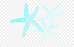 Starfish Clipart Aqua - Fish Clip Art - Png Download (#3481764 ...