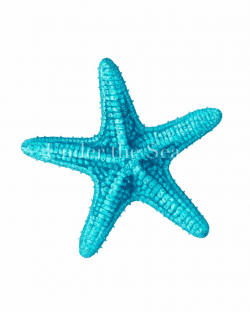 Free Blue Starfish Cliparts, Download Free Clip Art, Free Clip Art ...