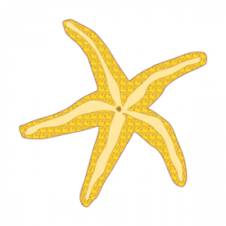 Free Starfish Cliparts, Download Free Clip Art, Free Clip Art on ...