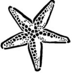 Starfish Clipart Black And White | Clipart Panda - Free Clipart Images