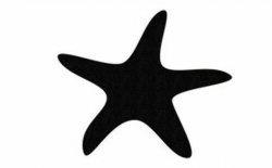Starfish illustrations and clipart 1 starfish free 2 image ...