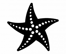 Png Black And White Transparent Background - Starfish Black And ...
