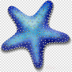 Starfish, Star, Blue, transparent png image & clipart free download