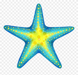 Blue Starfish Png Clip Art - Star Fish Clip Art Transparent Png ...