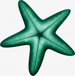 blue green starfish | Shipwrecked VBS 2018 | Starfish, Cartoon ...