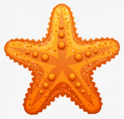 Starfish Clipart PNG, Transparent Starfish Clipart PNG Image Free ...