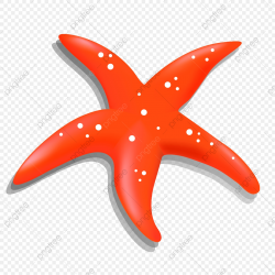 Ocean Starfish Pattern, Ocean Clipart, Starfish Clipart PNG ...