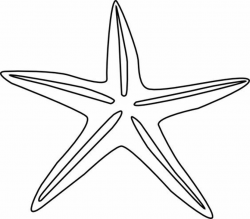 11 Photos of Starfish Outline Drawing | starfish | Starfish clipart ...