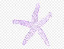 Lavender Clipart Starfish - Purple Star Fish Clip Art - Png Download ...