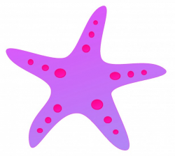 Purple Starfish Free Stock Photo - Public Domain Pictures
