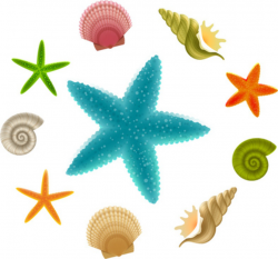 Free clipart images starfish free vector download (3,217 Free vector ...