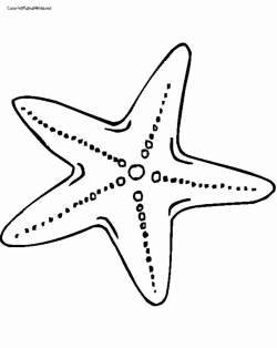 starfish cartoon | star star fish colouring pages | Music Camp ...