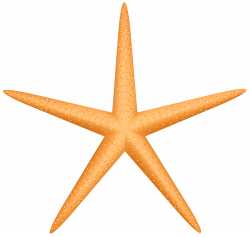 Yellow Starfish PNG Clip Art - Best WEB Clipart