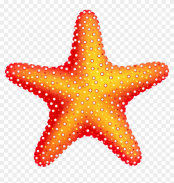 Free Png Starfish Png Images Transparent - Starfish Png Transparent ...