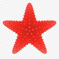Starfish Transparent Png Clip Art Image Beach Clipart - Starfish ...