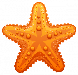 Pin by ilana g on קיץ summer | Starfish, Mermaid pictures, Beach clipart