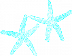 Turquoise Starfish Clip Art | Clipart Panda - Free Clipart Images