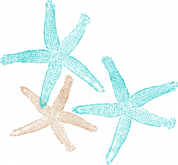 Turquoise starfish clip art nature download vector clip art image #9464