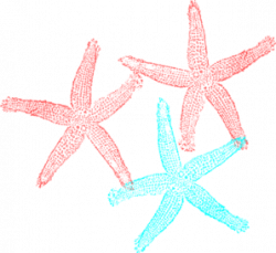starfish clip art coral color | Coral And Turquoise Starfish clip ...