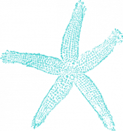 Turquoise Starfish Clipart & Free Clip Art Images #30346 ...
