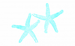 Turquoise Clipart Starfish - Teal Starfish, Transparent Png Download ...