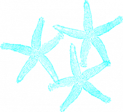 Starfish Wedding Clip Art | Clipart Panda - Free Clipart Images