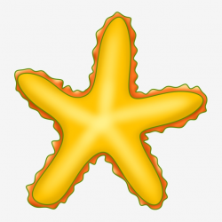 Yellow Starfish Creature, Aquatic, Yellow, Starfish PNG Transparent ...