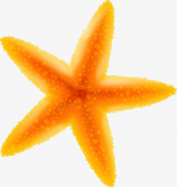 Yellow Cartoon Starfish PNG, Clipart, Cartoon, Cartoon Clipart ...