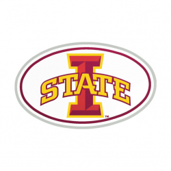 Wincraft Iowa State Cyclones Logo Acrylic Metallic Auto Emblem by Wincraft  at Fleet Farm