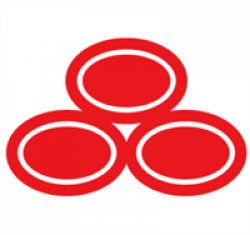 Bao Tran, State Farm Agent - Member to Member Small Business ...