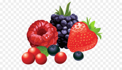 Berry Strawberry png download - 3480*2681 - Free Transparent Berry ...