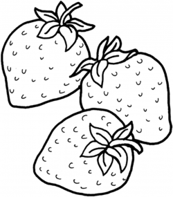 Three Strawberries coloring page | Free Printable Coloring Pages