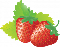 High Resolution Strawberry Png Clipart #22989 - Free Icons and PNG ...