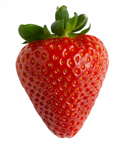 Download Strawberry High Quality PNG - Free Transparent PNG Images ...