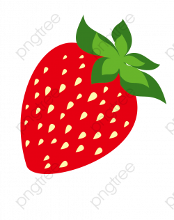 Strawberry Vector, Ripe Strawberries, Green Fruit PNG and Vector ...