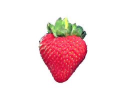 Watercolor Strawberry Digital Clipart | 641 Digital - My Etsy ...