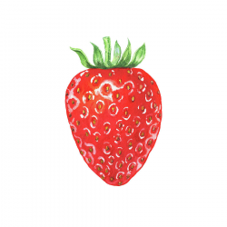 Watercolor Strawberry by Irina Sztukowski