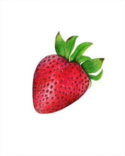 Amazon.com: Strawberry Watercolor Art Print: Handmade