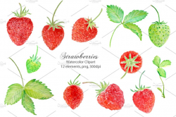 Watercolor Clipart Strawberry