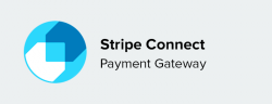 Stripe Connect Payment Gateway for Multi-Vendor