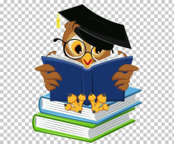 Student School , owl, reading owl on books PNG clipart ...