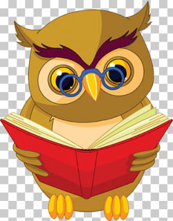 67 reading Owl PNG cliparts for free download | UIHere