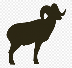 Pick Another Species To View Success Photos - Bighorn Sheep ...