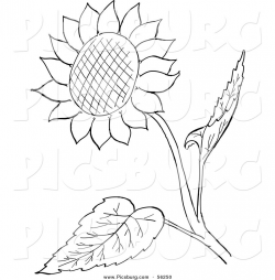 Clip Art of a Sunflower and Leaves - Black and White Line ...