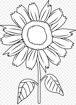 Sunflower Black And White clipart - Drawing, Color, Flower ...