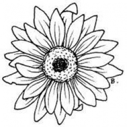 Image result for simple sunflower outline | Flower coloring ...