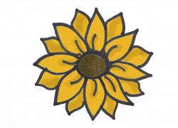 Drawings of sunflower clipart images gallery for free ...